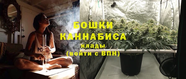 трава Вязьма
