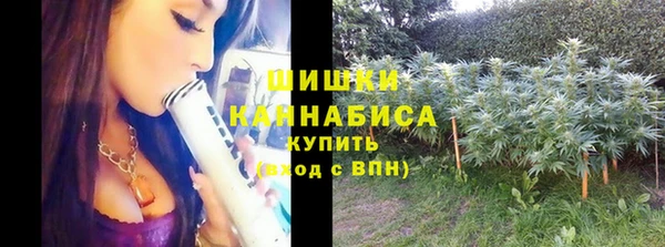 трава Вязьма
