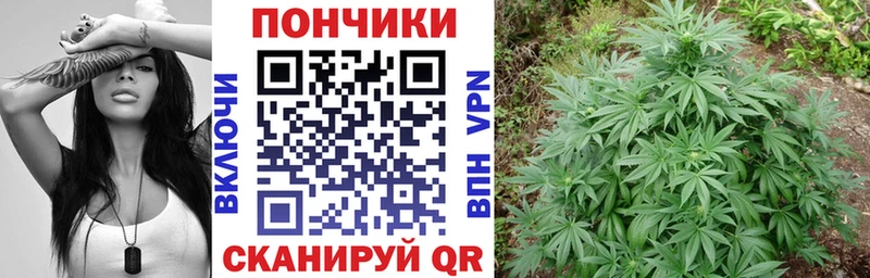 Бошки Шишки гибрид  где купить   Очёр 